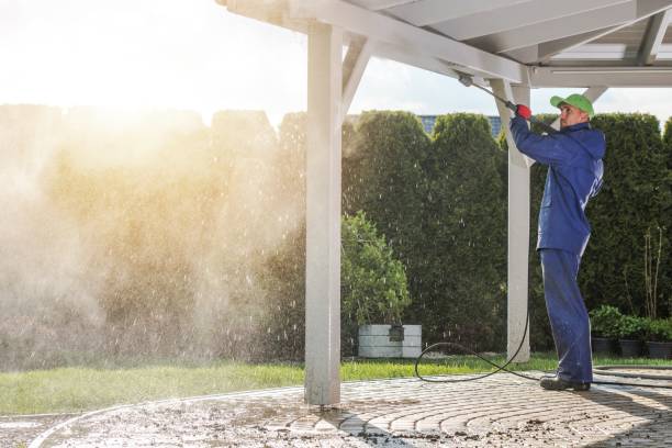Best Dumpster Area Cleaning  in Negaunee, MI